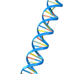 Notre ADN : Aider chaque collaborateur opérationnel à prendre conscience de son pouvoir d'agir et à mobiliser ses compétences pour le collectif Notre ADN : Aider chaque collaborateur opérationnel à prendre conscience de son pouvoir d'agir et à mobiliser ses compétences pour le collectif